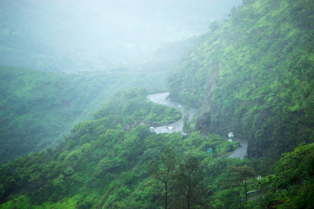 Hilly green landscape